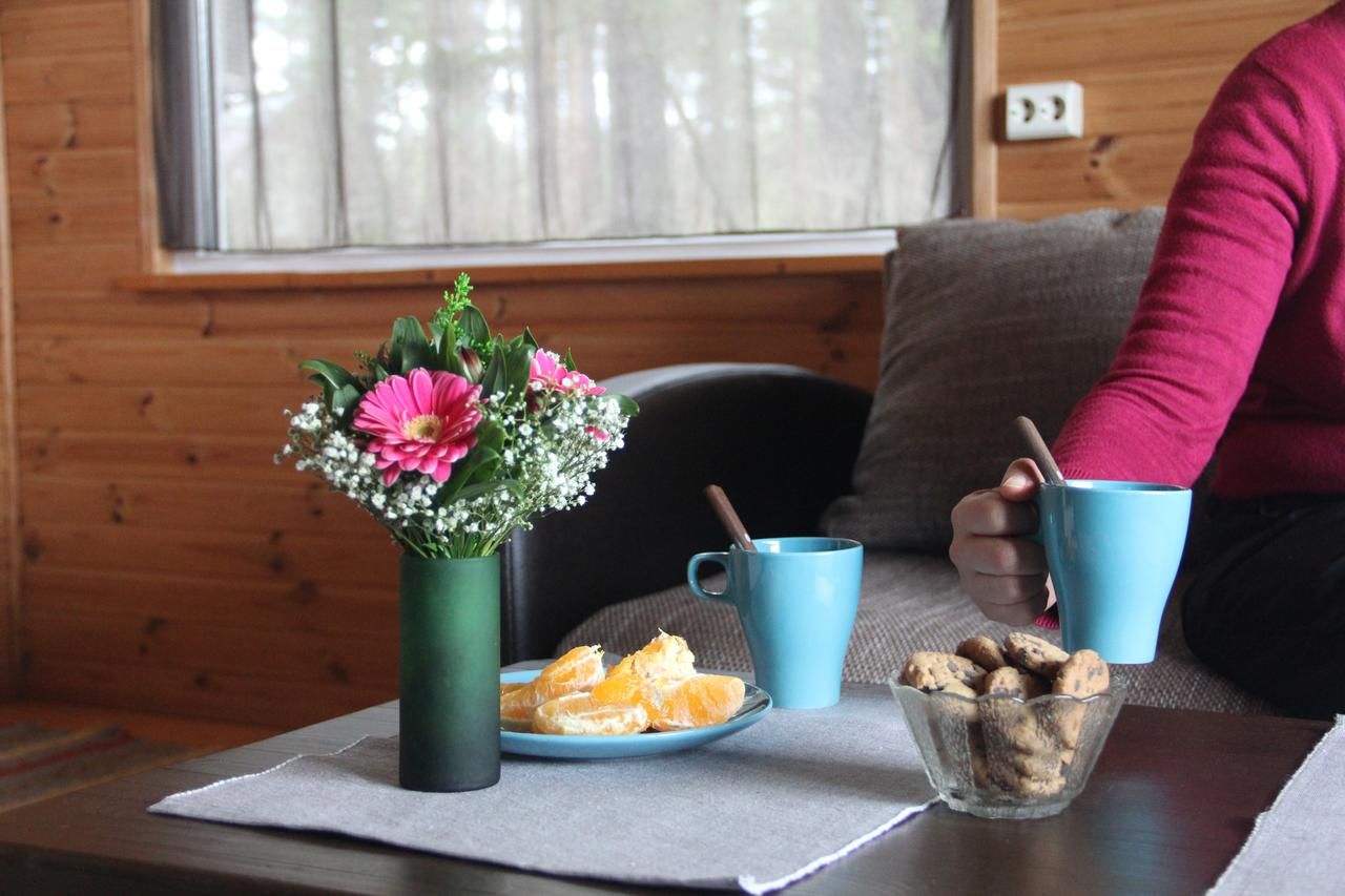 Дома для отпуска Kapteni Holiday House Paatsalu