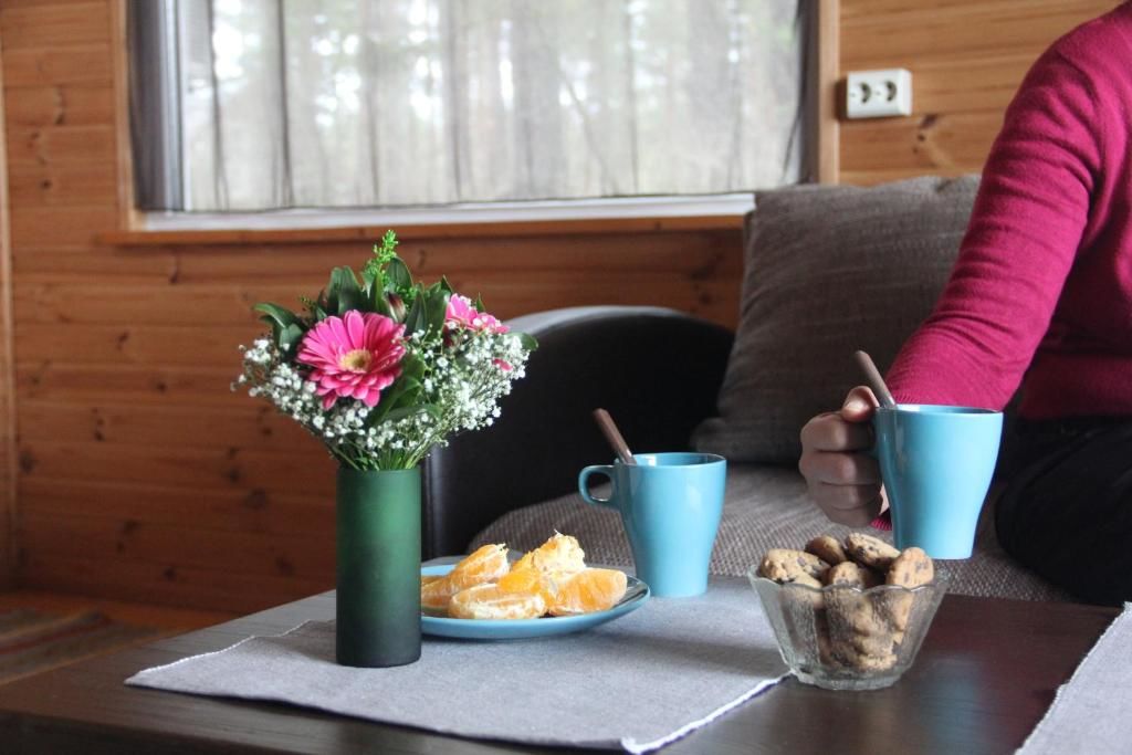 Дома для отпуска Kapteni Holiday House Paatsalu