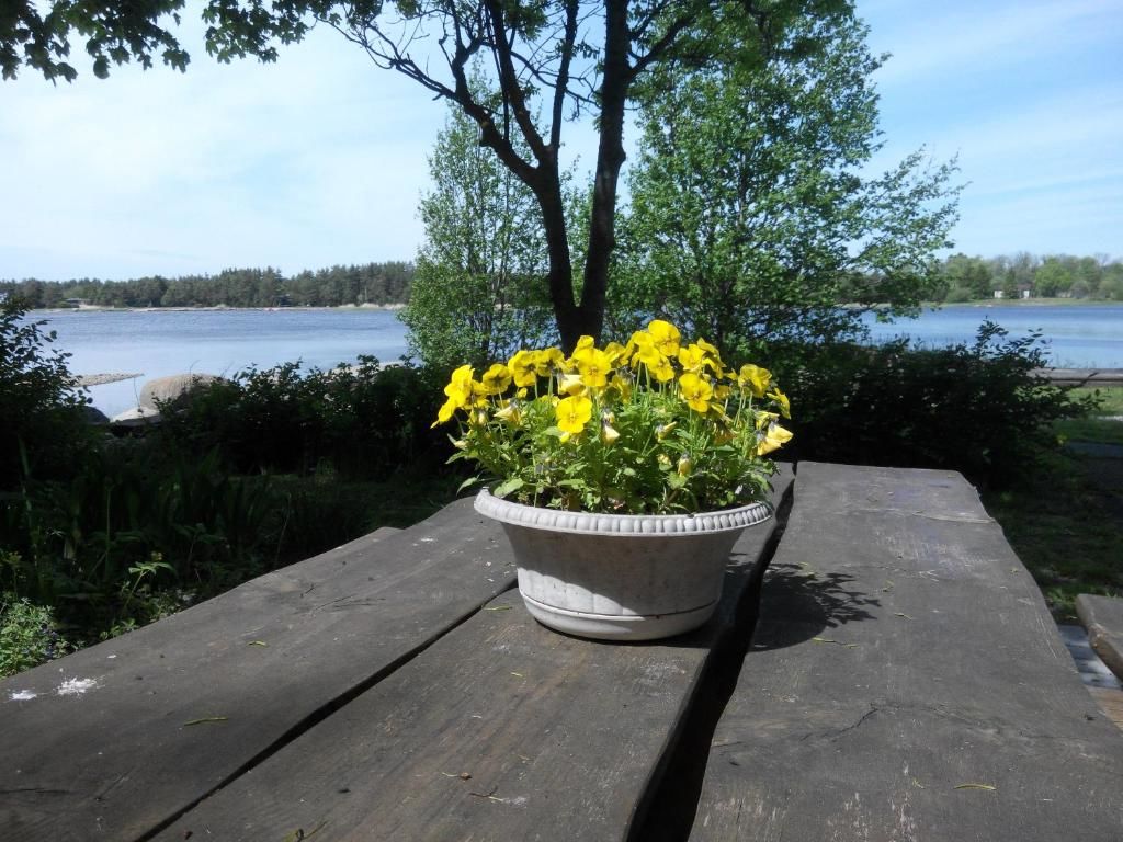 Дома для отпуска Kapteni Holiday House Paatsalu